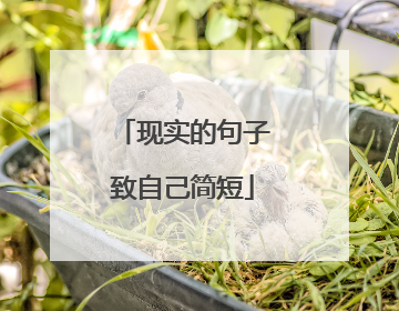 现实的句子致自己简短