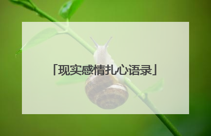 现实感情扎心语录
