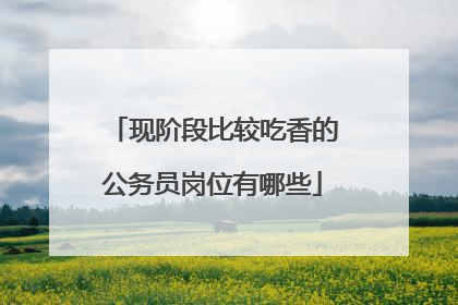 现阶段比较吃香的公务员岗位有哪些