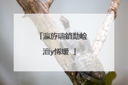 瀛斿瓙鐨勫崄澶у悕瑷�