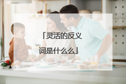 灵活的反义词是什么么