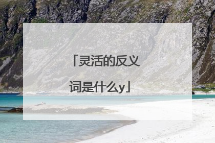 灵活的反义词是什么y