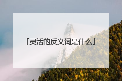灵活的反义词是什么