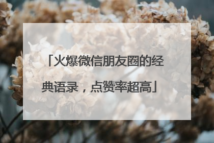 火爆微信朋友圈的经典语录，点赞率超高