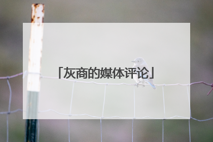 灰商的媒体评论