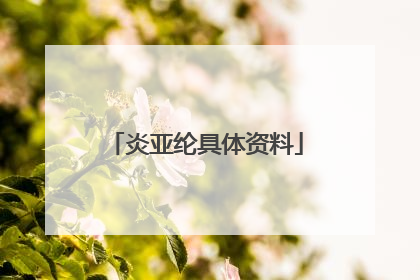 炎亚纶具体资料