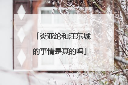 炎亚纶和汪东城的事情是真的吗