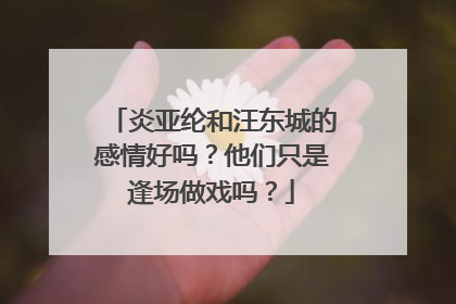 炎亚纶和汪东城的感情好吗？他们只是逢场做戏吗？