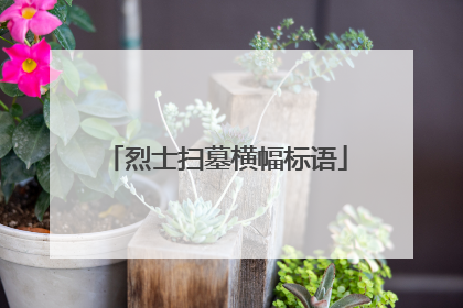 烈士扫墓横幅标语