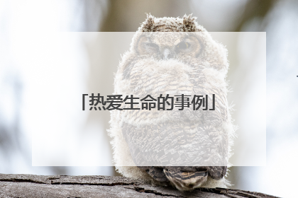 热爱生命的事例