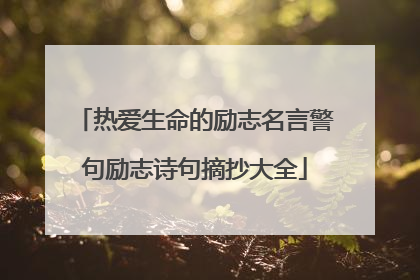 热爱生命的励志名言警句励志诗句摘抄大全