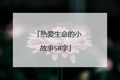 热爱生命的小故事50字