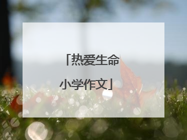 热爱生命小学作文