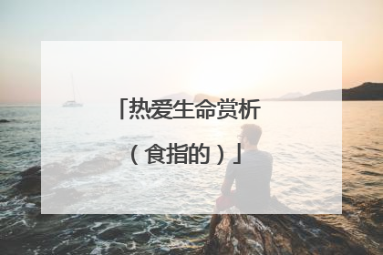 热爱生命赏析（食指的）