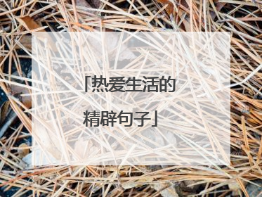 热爱生活的精辟句子