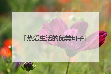 热爱生活的优美句子