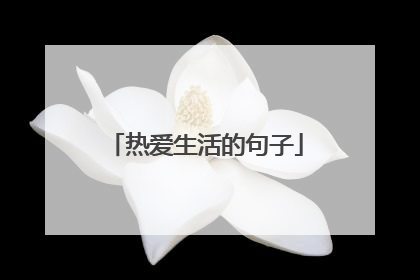 热爱生活的句子