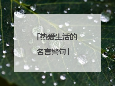 热爱生活的名言警句