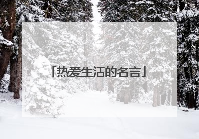 热爱生活的名言