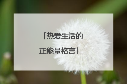 热爱生活的正能量格言