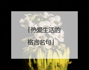 热爱生活的格言名句
