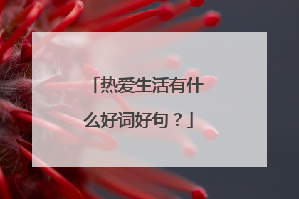 热爱生活有什么好词好句?