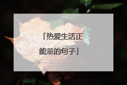 热爱生活正能量的句子