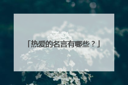 热爱的名言有哪些？