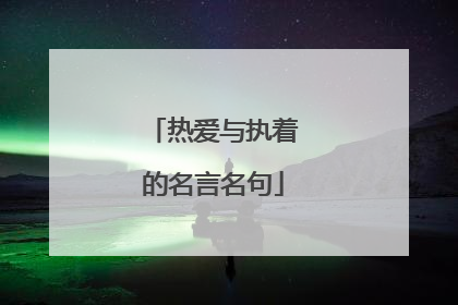 热爱与执着的名言名句