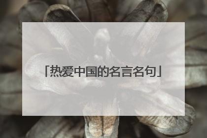 热爱中国的名言名句