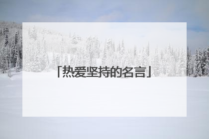 热爱坚持的名言