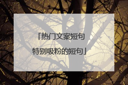 热门文案短句 特别吸粉的短句