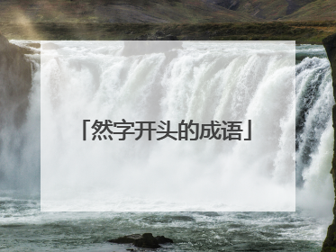 然字开头的成语