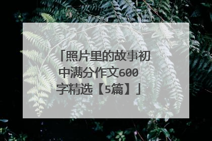 照片里的故事初中满分作文600字精选【5篇】
