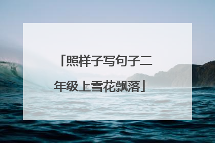 照样子写句子二年级上雪花飘落