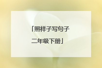 照样子写句子二年级下册