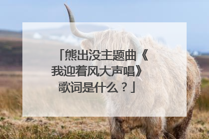 熊出没主题曲《我迎着风大声唱》歌词是什么？