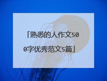 熟悉的人作文500字优秀范文5篇