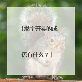 燃字开头的成语有什么？