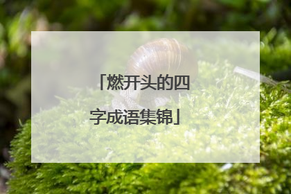 燃开头的四字成语集锦