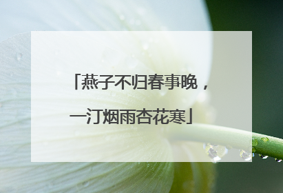 燕子不归春事晚,一汀烟雨杏花寒