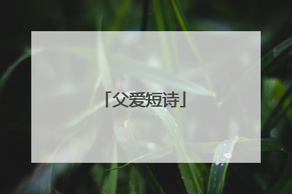 父爱短诗