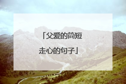 父爱的简短走心的句子
