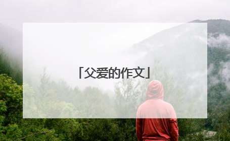 父爱的作文