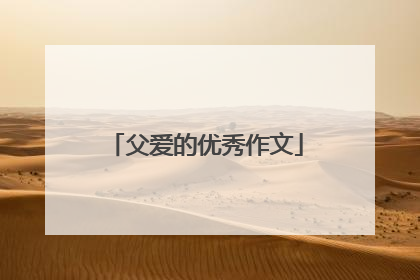 父爱的优秀作文