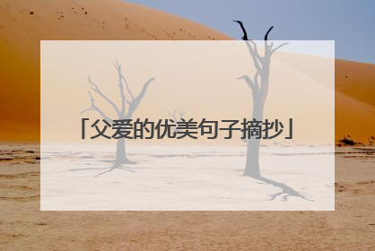 父爱的优美句子摘抄