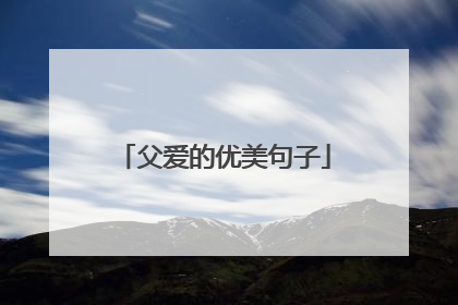 父爱的优美句子