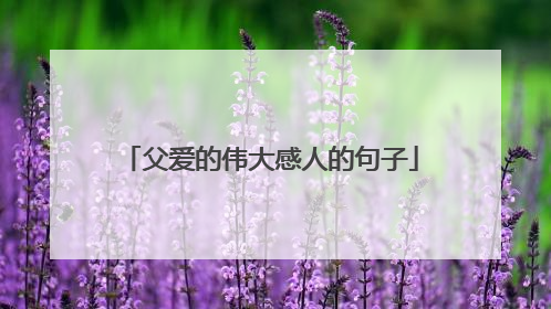 父爱的伟大感人的句子