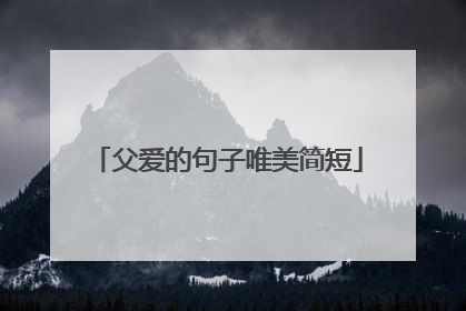 父爱的句子唯美简短