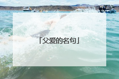 父爱的名句